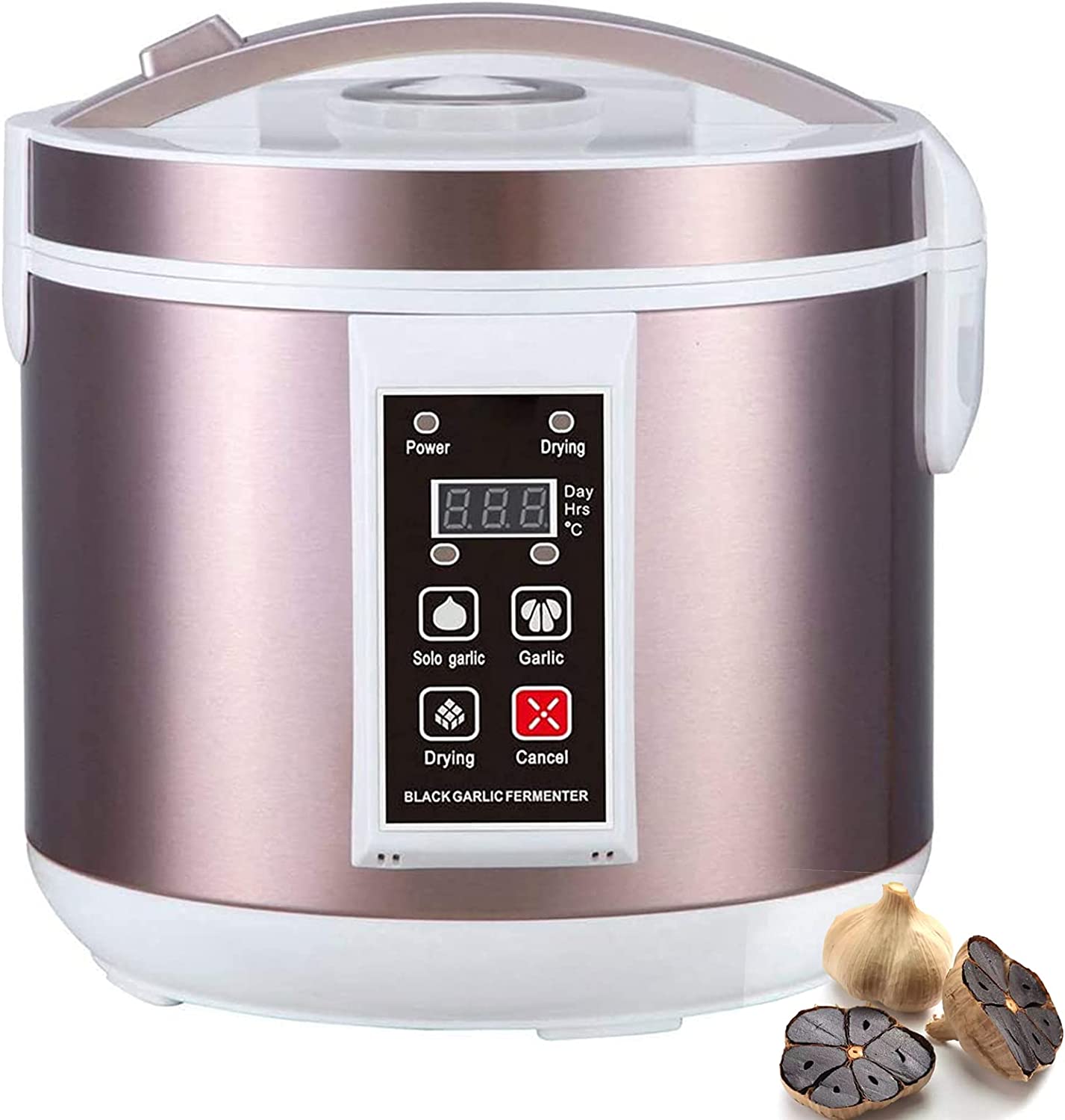 5L Black Garlic Fermenter Full - Diy Electronics Starter Kit review and price