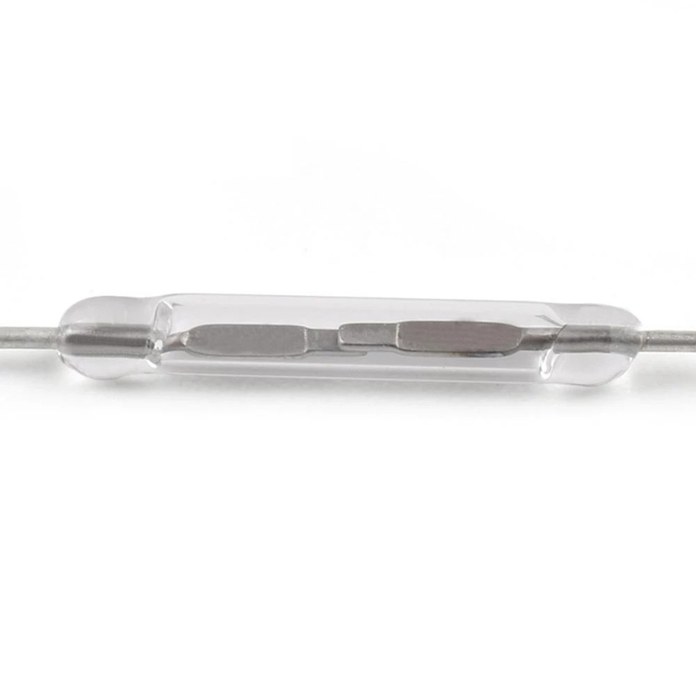 10 Pcs DIY Magnetic Reed Switc - Diy Electronic Components review and price